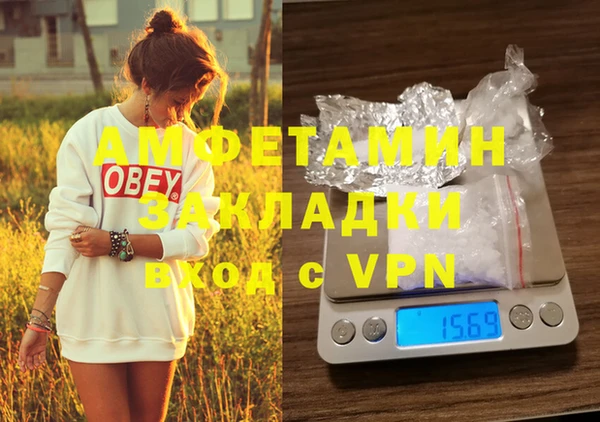 дурь Инта