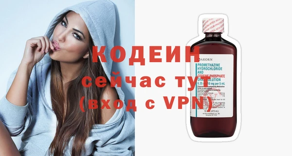 хмурый Елизово