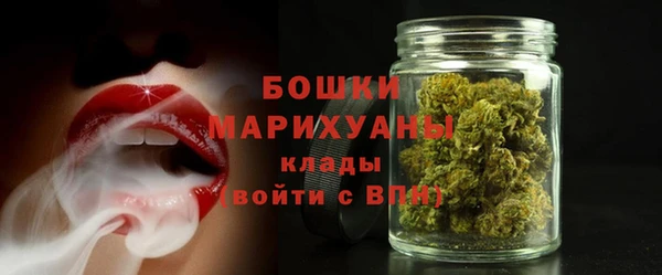spice Инсар