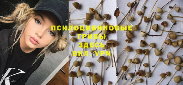 spice Инсар