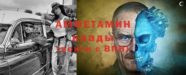 дурь Инта