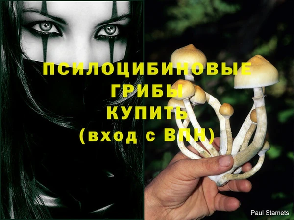 дурь Инта