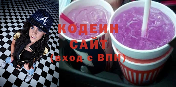 дурь Инта