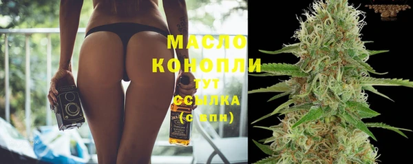 spice Инсар