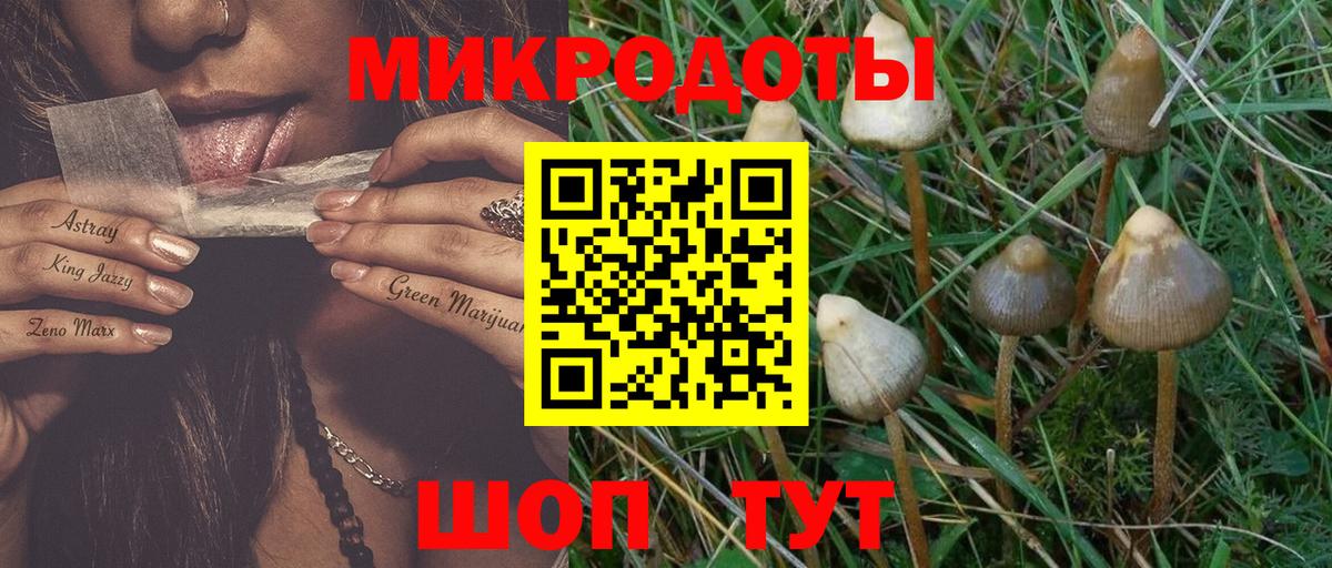 Ленинск-Кузнецкий  Галлюциногенные грибы Psilocybine cubensis  Вход с VPN 
