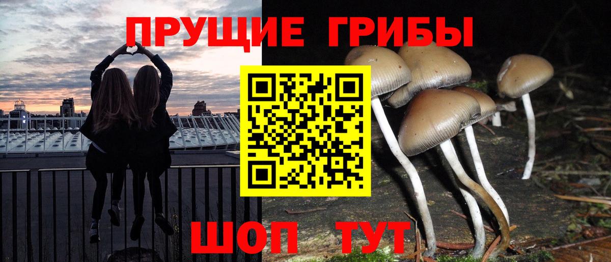 Галлюциногенные грибы ЛСД Ленинск-Кузнецкий